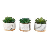 Marble + Wood Succulent Planter