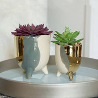 Gold Accent Succulent Planter