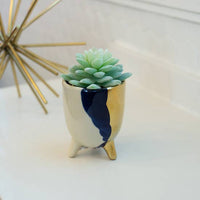 Gold Accent Succulent Planter