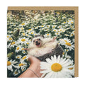 Hedgehog Daisy Field Square Greeting Card
