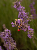 Ladybug Mini Hoop Earring