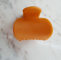 The Paula Hair Clip