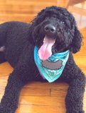 Dissent Collar Patch
