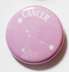 Colourful Zodiac Button Pin