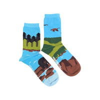 Canadian Shield Landscape Mismatched Socks