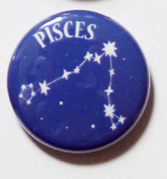 Colourful Zodiac Button Pin