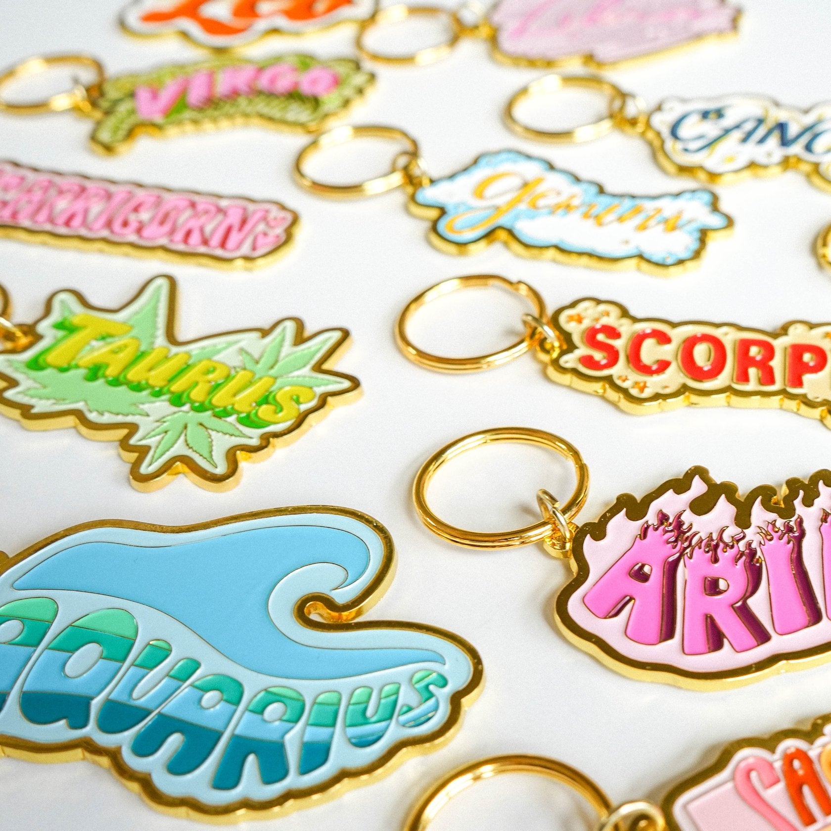 Wild Rose Zodiac Keychain