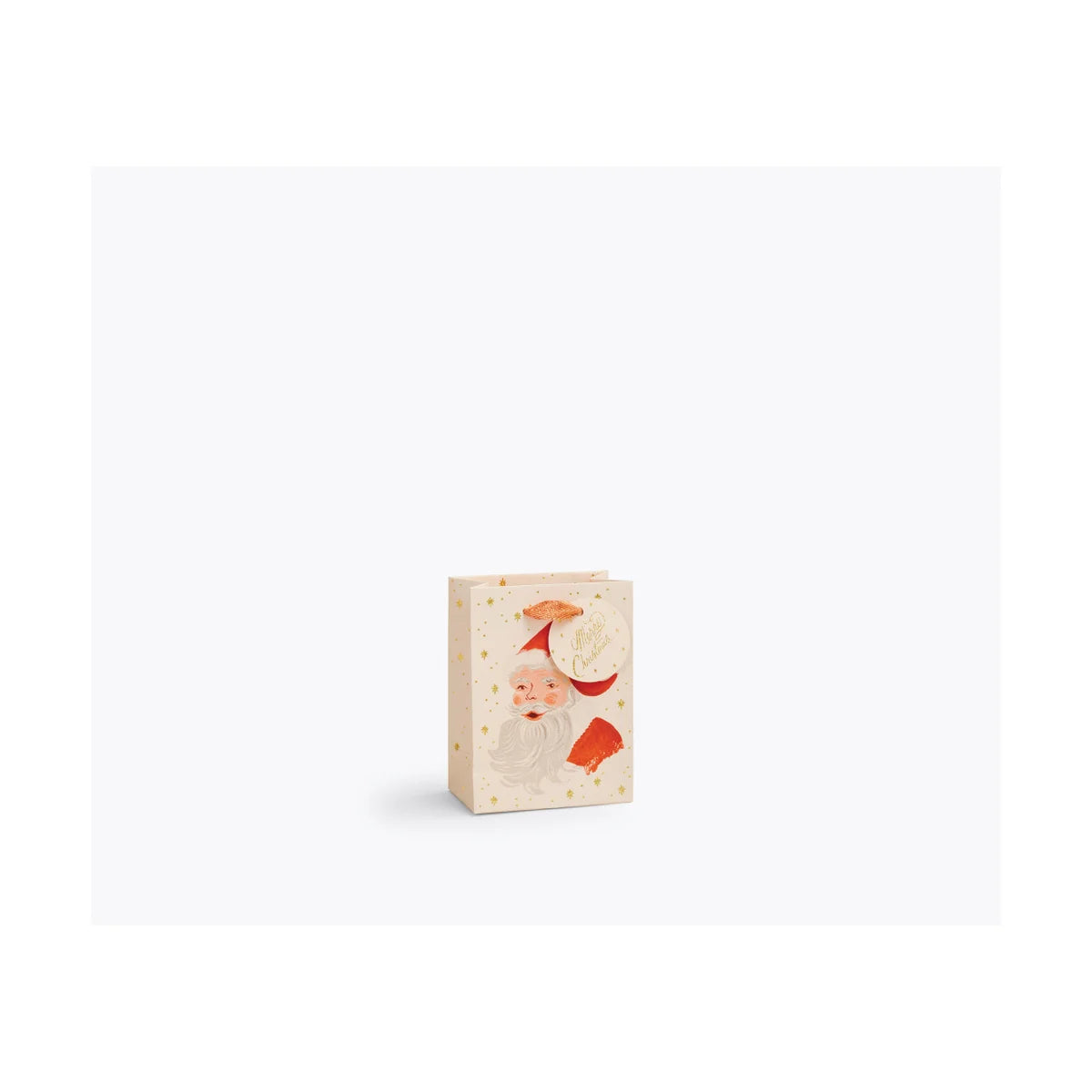 Small Holiday Gift Bag