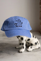 No Brain No Pain Dad Hat