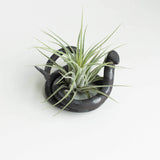 Medium Ceramic Snake